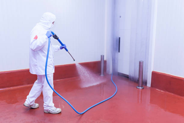 Best Pre-Holiday Cleaning  in West Pittston, PA